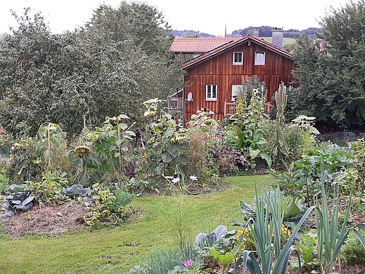 Permakulturgarten in Bernhaupten